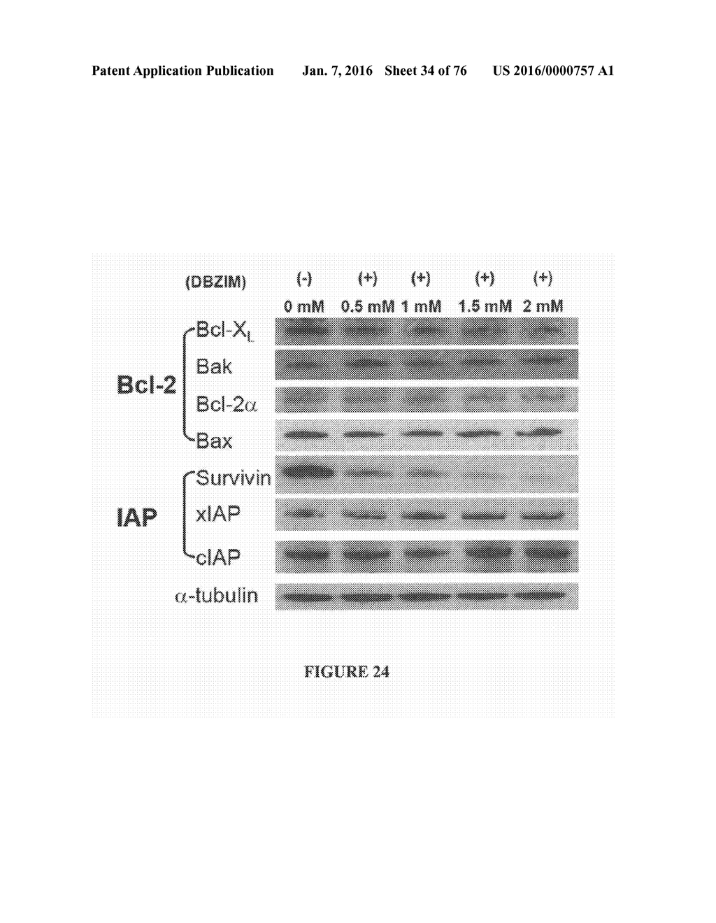 METHOD FOR TREATING FIBROSIS AND CANCER WITH IMIDAZOLIUM AND IMIDAZOLINIUM     COMPOUNDS - diagram, schematic, and image 35