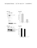 MTOR MODULATORS AND USES THEREOF diagram and image