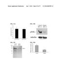 MTOR MODULATORS AND USES THEREOF diagram and image