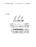 MTOR MODULATORS AND USES THEREOF diagram and image