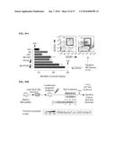 MTOR MODULATORS AND USES THEREOF diagram and image