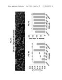 PAR1 MODULATION TO ALTER MYELINATION diagram and image