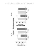 PAR1 MODULATION TO ALTER MYELINATION diagram and image