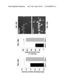 PAR1 MODULATION TO ALTER MYELINATION diagram and image