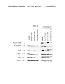 TREATMENT OF B-CELL MALIGNANCIES BY A COMBINATION JAK AND PI3K INHIBITORS diagram and image