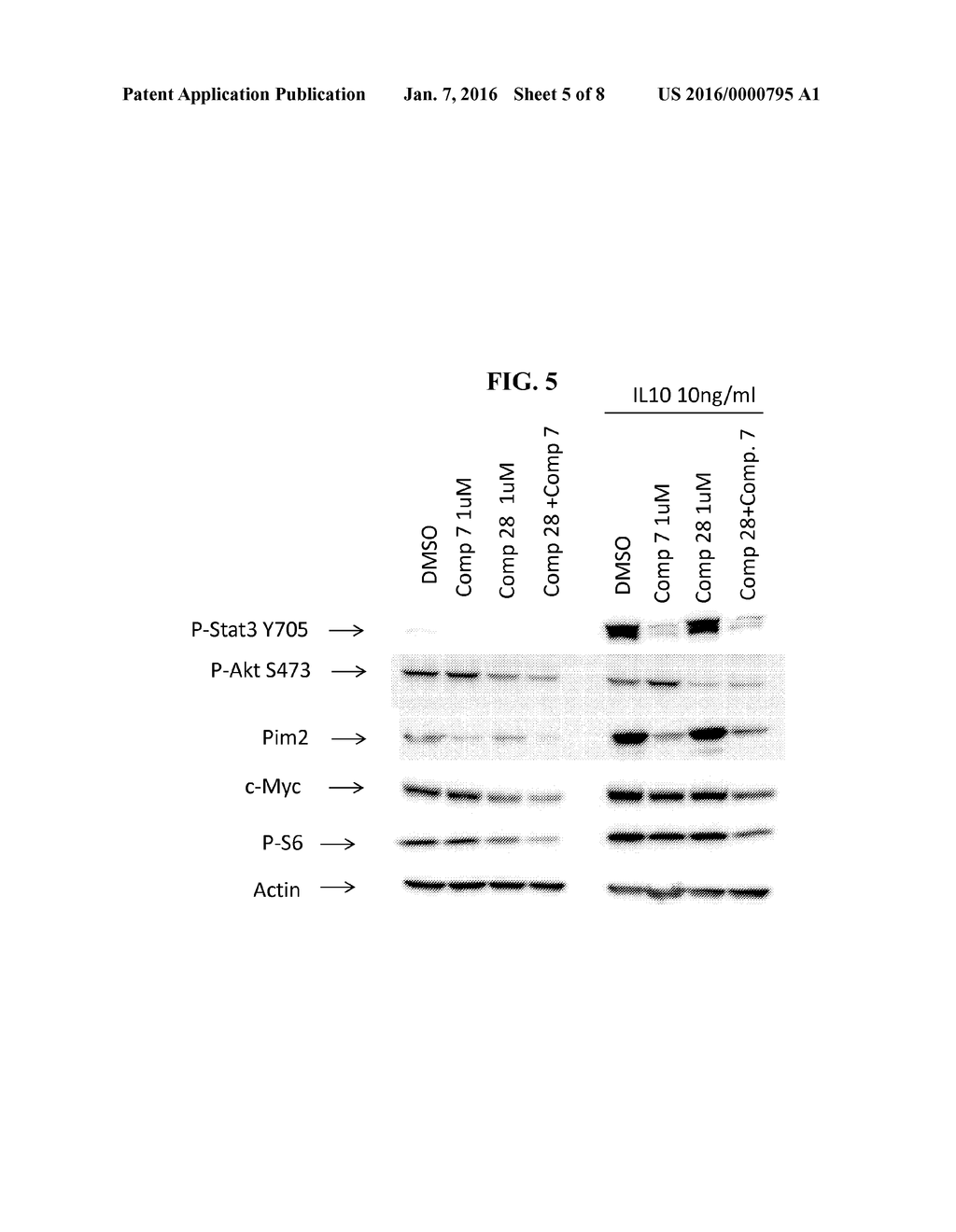 TREATMENT OF B-CELL MALIGNANCIES BY A COMBINATION JAK AND PI3K INHIBITORS - diagram, schematic, and image 06