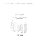 PHARMACEUTICAL COMPOSITION, METHODS FOR TREATING AND USES THEREOF diagram and image