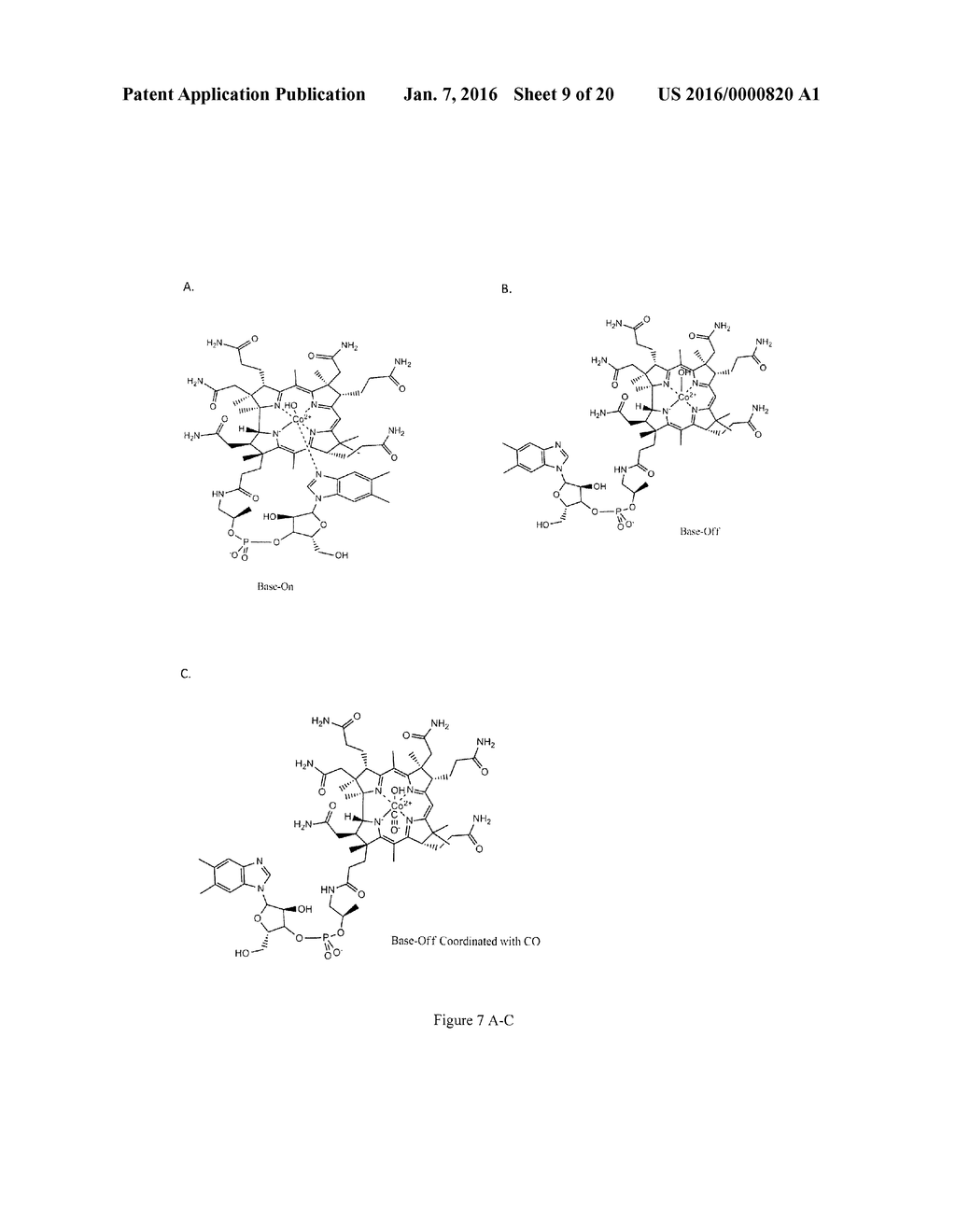 COMPOSITIONS AND METHODS FOR TREATING CARBON MONOXIDE AND/OR CYANIDE     POISONING - diagram, schematic, and image 10