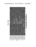 MICRO-RNAS AND COMPOSITIONS COMPRISING SAME FOR THE TREATMENT AND     DIAGNOSIS OF SEROTONIN-, ADRENALIN-, NORADRENALIN-, GLUTAMATE-, AND     CORTICOTROPIN-RELEASING HORMONE- ASSOCIATED MEDICAL CONDITIONS diagram and image