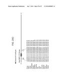 MICRO-RNAS AND COMPOSITIONS COMPRISING SAME FOR THE TREATMENT AND     DIAGNOSIS OF SEROTONIN-, ADRENALIN-, NORADRENALIN-, GLUTAMATE-, AND     CORTICOTROPIN-RELEASING HORMONE- ASSOCIATED MEDICAL CONDITIONS diagram and image