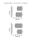 MICRO-RNAS AND COMPOSITIONS COMPRISING SAME FOR THE TREATMENT AND     DIAGNOSIS OF SEROTONIN-, ADRENALIN-, NORADRENALIN-, GLUTAMATE-, AND     CORTICOTROPIN-RELEASING HORMONE- ASSOCIATED MEDICAL CONDITIONS diagram and image