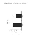 MICRO-RNAS AND COMPOSITIONS COMPRISING SAME FOR THE TREATMENT AND     DIAGNOSIS OF SEROTONIN-, ADRENALIN-, NORADRENALIN-, GLUTAMATE-, AND     CORTICOTROPIN-RELEASING HORMONE- ASSOCIATED MEDICAL CONDITIONS diagram and image