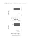 MICRO-RNAS AND COMPOSITIONS COMPRISING SAME FOR THE TREATMENT AND     DIAGNOSIS OF SEROTONIN-, ADRENALIN-, NORADRENALIN-, GLUTAMATE-, AND     CORTICOTROPIN-RELEASING HORMONE- ASSOCIATED MEDICAL CONDITIONS diagram and image