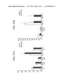 MICRO-RNAS AND COMPOSITIONS COMPRISING SAME FOR THE TREATMENT AND     DIAGNOSIS OF SEROTONIN-, ADRENALIN-, NORADRENALIN-, GLUTAMATE-, AND     CORTICOTROPIN-RELEASING HORMONE- ASSOCIATED MEDICAL CONDITIONS diagram and image