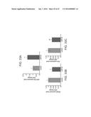 MICRO-RNAS AND COMPOSITIONS COMPRISING SAME FOR THE TREATMENT AND     DIAGNOSIS OF SEROTONIN-, ADRENALIN-, NORADRENALIN-, GLUTAMATE-, AND     CORTICOTROPIN-RELEASING HORMONE- ASSOCIATED MEDICAL CONDITIONS diagram and image