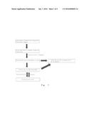 USE OF ALLOGENEIC INTERSTITIAL VESSEL-LAYER CELL AND ALLOGENEIC     MESENCHYMAL PROGENITOR CELL FOR PREVENTING OR TREATING OSTEOARTHRITIS diagram and image