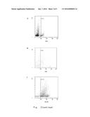 USE OF ALLOGENEIC INTERSTITIAL VESSEL-LAYER CELL AND ALLOGENEIC     MESENCHYMAL PROGENITOR CELL FOR PREVENTING OR TREATING OSTEOARTHRITIS diagram and image