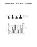 USE OF ALLOGENEIC INTERSTITIAL VESSEL-LAYER CELL AND ALLOGENEIC     MESENCHYMAL PROGENITOR CELL FOR PREVENTING OR TREATING OSTEOARTHRITIS diagram and image