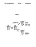 METHODS AND COMPOSITIONS FOR TISSUE THERAPY AND ANALYSIS diagram and image