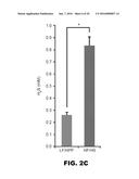 COMPOSITIONS AND METHODS TO ALTER GUT MICROBIAL FERMENTATION USING     SULFATE-REDUCING BACTERIA diagram and image