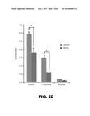 COMPOSITIONS AND METHODS TO ALTER GUT MICROBIAL FERMENTATION USING     SULFATE-REDUCING BACTERIA diagram and image