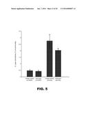 COMPOSITIONS AND METHODS TO ALTER GUT MICROBIAL FERMENTATION USING     SULFATE-REDUCING BACTERIA diagram and image