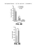 COMPOSITIONS AND METHODS TO ALTER GUT MICROBIAL FERMENTATION USING     SULFATE-REDUCING BACTERIA diagram and image