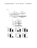 COMPOSITIONS AND METHODS RELATING TO INDUCTION OF INTESTINAL STEM CELL     HOMEOGENESIS AND/OR REGENERATION diagram and image