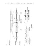 TIE2 RECEPTOR ACTIVATION FOR GLAUCOMA diagram and image