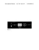 Monoclonal Antibody diagram and image