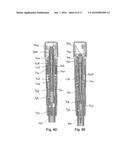 AUTO-INJECTOR FOR EPINEPHRINE INJECTION diagram and image