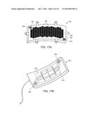 SYSTEMS, METHODS AND DEVICES FOR A SKULL/BRAIN INTERFACE diagram and image