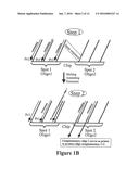 MICROARRAY SYNTHESIS AND ASSEMBLY OF GENE-LENGTH POLYNUCLEOTIDES diagram and image