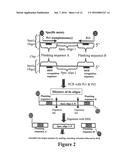 MICROARRAY SYNTHESIS AND ASSEMBLY OF GENE-LENGTH POLYNUCLEOTIDES diagram and image