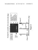 MICROARRAY SYNTHESIS AND ASSEMBLY OF GENE-LENGTH POLYNUCLEOTIDES diagram and image