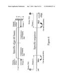 MICROARRAY SYNTHESIS AND ASSEMBLY OF GENE-LENGTH POLYNUCLEOTIDES diagram and image