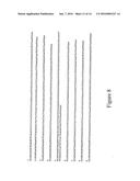 MICROARRAY SYNTHESIS AND ASSEMBLY OF GENE-LENGTH POLYNUCLEOTIDES diagram and image