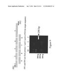 MICROARRAY SYNTHESIS AND ASSEMBLY OF GENE-LENGTH POLYNUCLEOTIDES diagram and image