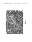 REDUCING AGENTS FOR SILVER MORPHOLOGY CONTROL diagram and image