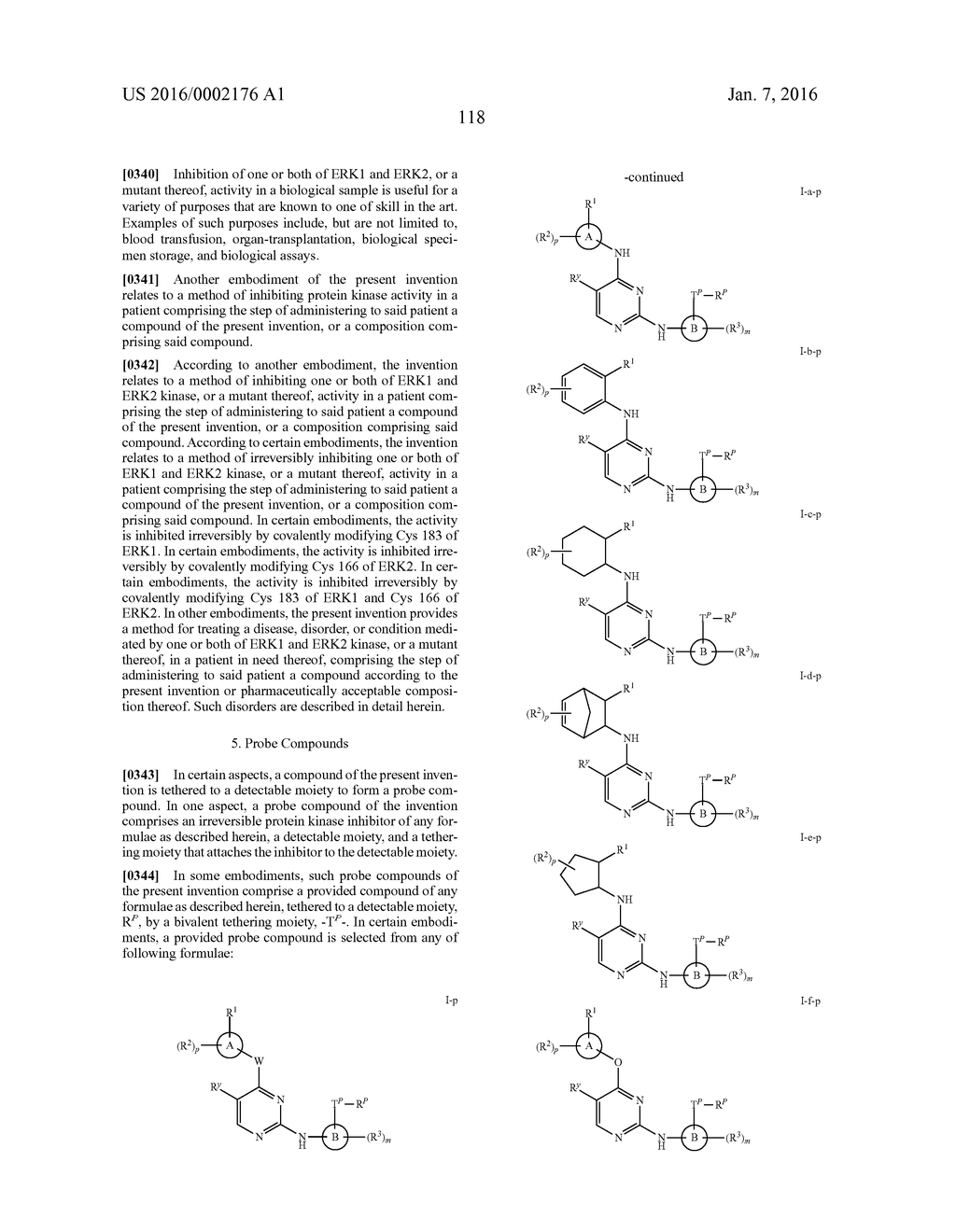 ERK INHIBITORS AND USES THEREOF - diagram, schematic, and image 121