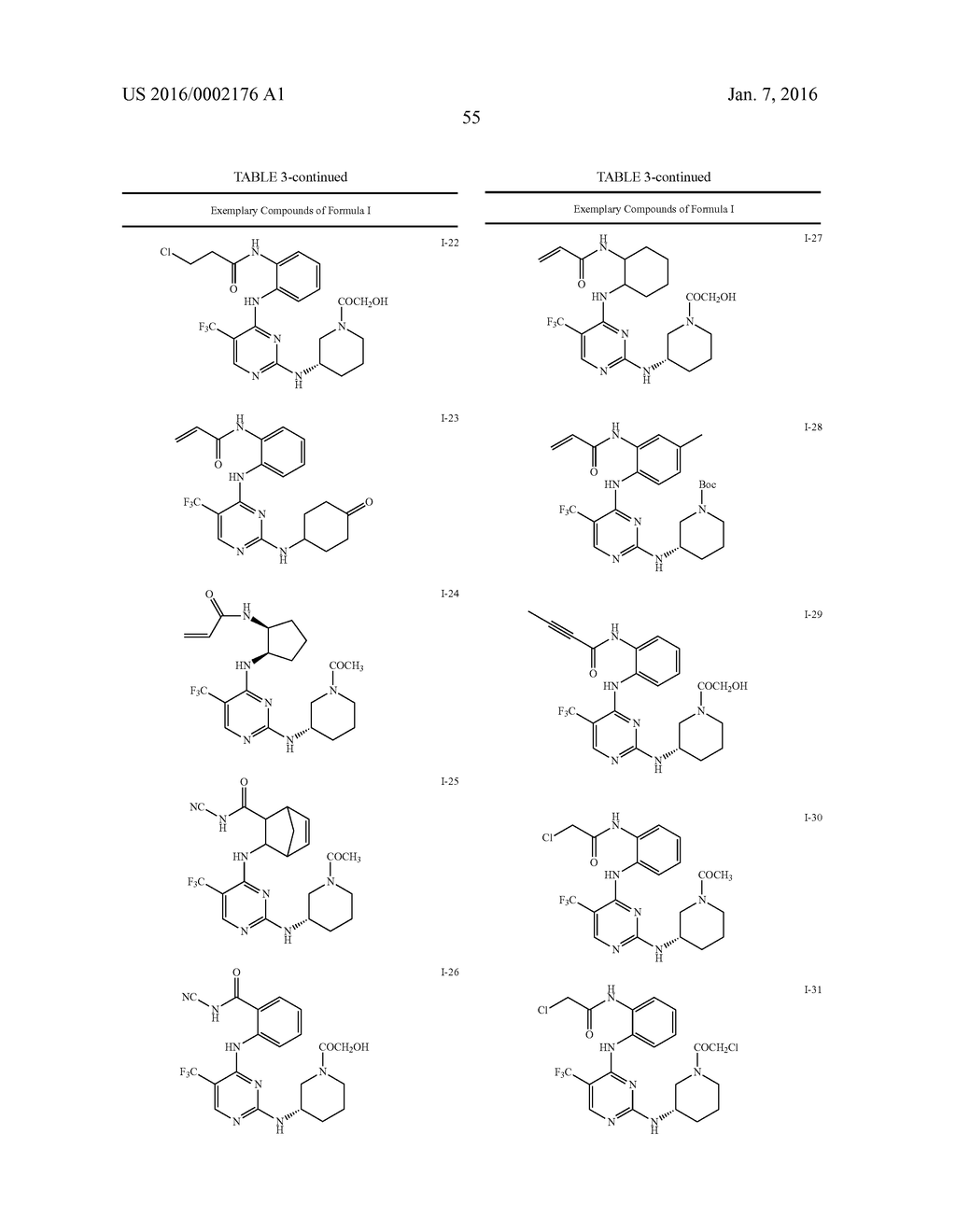 ERK INHIBITORS AND USES THEREOF - diagram, schematic, and image 58