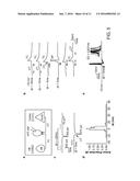 LIGHT-ACTIVATED CHIMERIC OPSINS AND METHODS OF USING THE SAME diagram and image