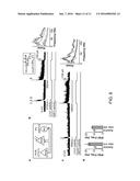 LIGHT-ACTIVATED CHIMERIC OPSINS AND METHODS OF USING THE SAME diagram and image