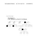 FHL1 MUTATIONS ASSOCIATED WITH NOVEL X-LINKED MUSCULAR MYOPATHIES diagram and image