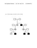 FHL1 MUTATIONS ASSOCIATED WITH NOVEL X-LINKED MUSCULAR MYOPATHIES diagram and image