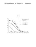 ANTIBODIES AGAINST TM4SF5 AND ANTICANCER COMPOSITIONS COMPRISING THE SAME diagram and image