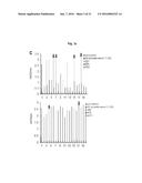 ANTIBODIES AGAINST TM4SF5 AND ANTICANCER COMPOSITIONS COMPRISING THE SAME diagram and image