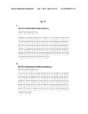 ANTIBODIES AGAINST TM4SF5 AND ANTICANCER COMPOSITIONS COMPRISING THE SAME diagram and image