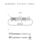 ANTIBODIES AGAINST TM4SF5 AND ANTICANCER COMPOSITIONS COMPRISING THE SAME diagram and image