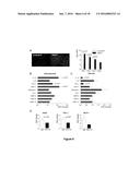 Notch Inhibition in the Prevention of Vein Graft Failure diagram and image